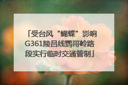 受台风“蝴蝶”影响 G361陵昌线鹦哥岭路段实行临时交通管制
