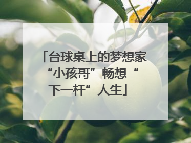 台球桌上的梦想家 “小孩哥”畅想“下一杆”人生
