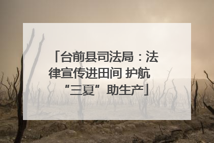 台前县司法局：法律宣传进田间 护航“三夏”助生产