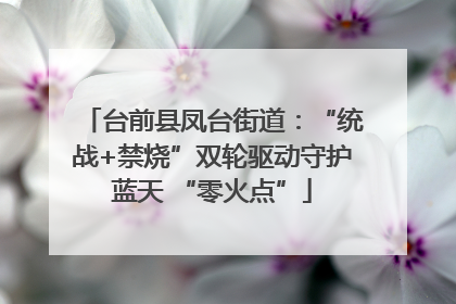 台前县凤台街道：“统战+禁烧”双轮驱动守护蓝天 “零火点”