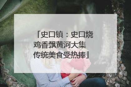 史口镇：史口烧鸡香飘黄河大集 传统美食受热捧