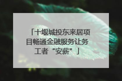 十堰城投东来居项目畅通金融服务让务工者“安薪”