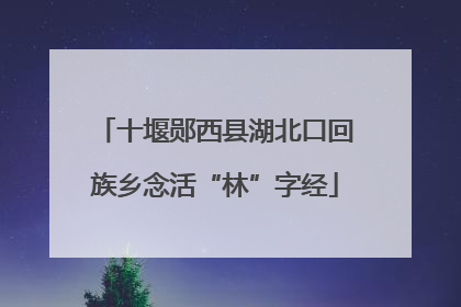 十堰郧西县湖北口回族乡念活“林”字经