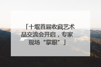 十堰首届收藏艺术品交流会开启，专家现场“掌眼”