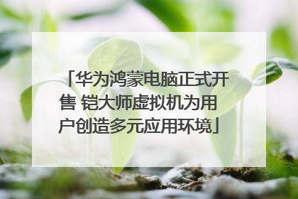 华为鸿蒙电脑正式开售 铠大师虚拟机为用户创造多元应用环境