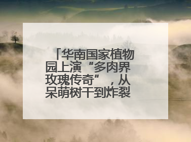 华南国家植物园上演“多肉界玫瑰传奇”，从呆萌树干到炸裂种子全是戏！