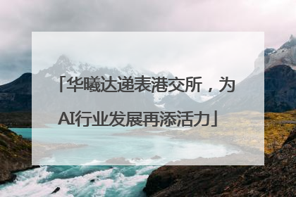 华曦达递表港交所，为AI行业发展再添活力
