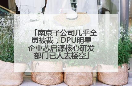南京子公司几乎全员被裁，DPU明星企业芯启源核心研发部门已人去楼空