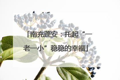 南充蓬安：托起“一老一小”稳稳的幸福