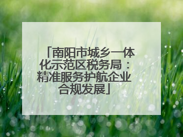 南阳市城乡一体化示范区税务局：精准服务护航企业合规发展