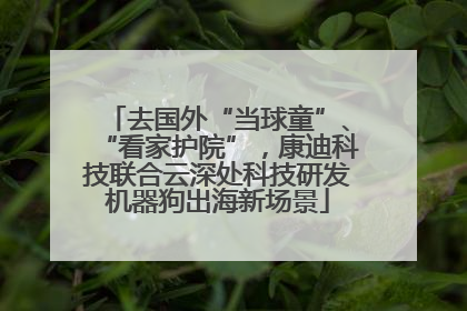 去国外“当球童”、“看家护院”，康迪科技联合云深处科技研发机器狗出海新场景