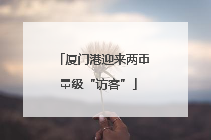 厦门港迎来两重量级“访客”