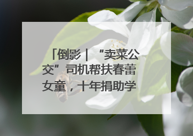 倒影｜“卖菜公交”司机帮扶春蕾女童，十年捐助学金2.5万元