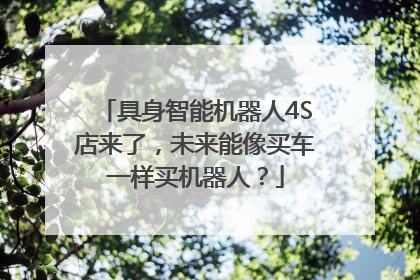 具身智能机器人4S店来了，未来能像买车一样买机器人？