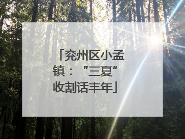 兖州区小孟镇：“三夏”收割话丰年
