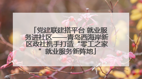 党建联建搭平台 就业服务进社区——青岛西海岸新区政社携手打造“零工之家”就业服务新阵地