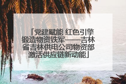 党建赋能 红色引擎锻造物资铁军——吉林省吉林供电公司物资部激活供应链新动能