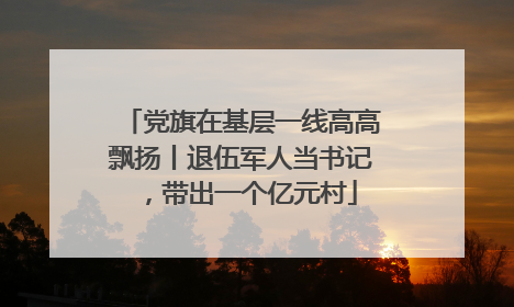 党旗在基层一线高高飘扬丨退伍军人当书记，带出一个亿元村