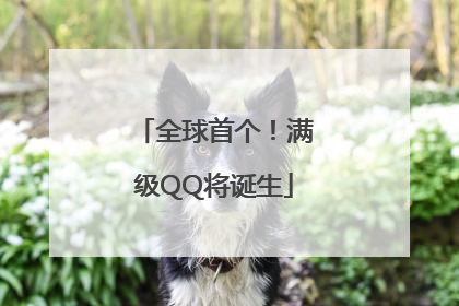 全球首个！满级QQ将诞生