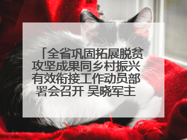 全省巩固拓展脱贫攻坚成果同乡村振兴有效衔接工作动员部署会召开 吴晓军主持并讲话 罗东川作安排部署