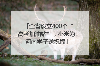全省设立400个“高考加油站”，小米为河南学子送祝福