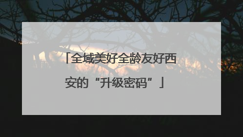 全域美好全龄友好西安的“升级密码”