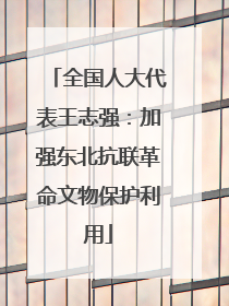 全国人大代表王志强：加强东北抗联革命文物保护利用