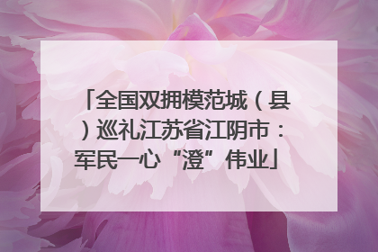 全国双拥模范城（县）巡礼江苏省江阴市：军民一心“澄”伟业