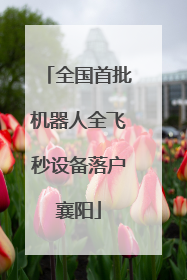 全国首批机器人全飞秒设备落户襄阳