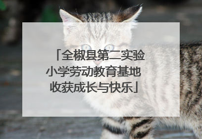 全椒县第二实验小学劳动教育基地收获成长与快乐