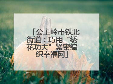公主岭市铁北街道：巧用“绣花功夫”紧密编织幸福网