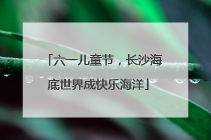 六一儿童节，长沙海底世界成快乐海洋