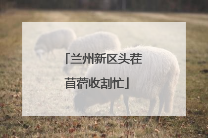 兰州新区头茬苜蓿收割忙