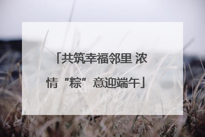 共筑幸福邻里 浓情“粽”意迎端午