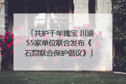 共护千年瑰宝 川渝55家单位联合发布《石窟联合保护倡议》