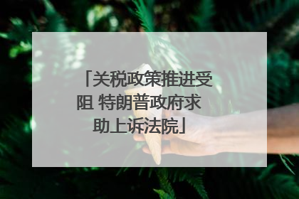 关税政策推进受阻 特朗普政府求助上诉法院