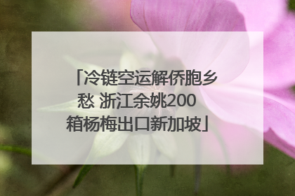 冷链空运解侨胞乡愁 浙江余姚200箱杨梅出口新加坡