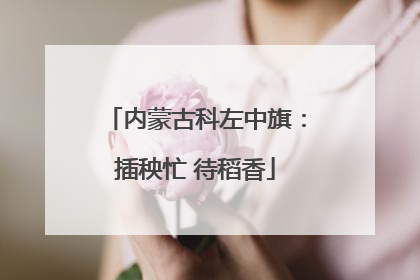内蒙古科左中旗：插秧忙 待稻香