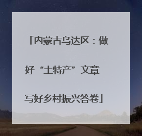 内蒙古乌达区：做好“土特产”文章 写好乡村振兴答卷