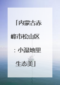 内蒙古赤峰市松山区：小湿地里生态美