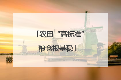 农田“高标准” 粮仓根基稳