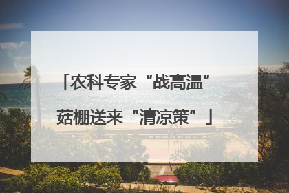 农科专家“战高温” 菇棚送来“清凉策”