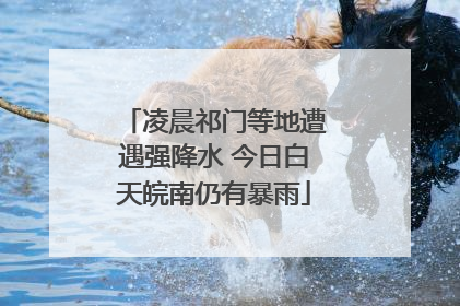 凌晨祁门等地遭遇强降水 今日白天皖南仍有暴雨