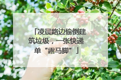 凌晨路边偷倒建筑垃圾，一张快递单“露马脚”