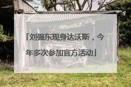 刘强东现身达沃斯，今年多次参加官方活动
