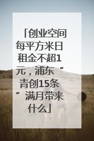创业空间每平方米日租金不超1元，浦东“青创15条”满月带来什么