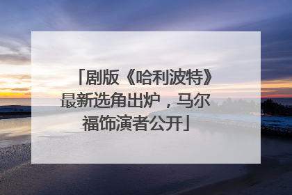 剧版《哈利波特》最新选角出炉，马尔福饰演者公开