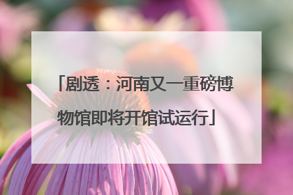 剧透：河南又一重磅博物馆即将开馆试运行