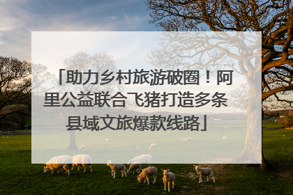 助力乡村旅游破圈！阿里公益联合飞猪打造多条县域文旅爆款线路
