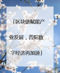 区块链赋能产业发展，普陀数字经济再加速